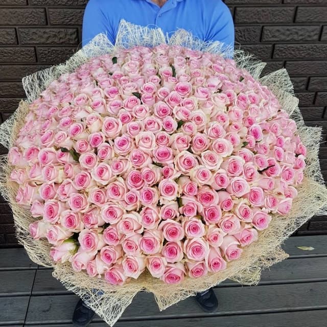 Букет из 201 розовой Розы Эквадор в сизале 50 см Букет из 201 розовой Розы Эквадор в сизале 50 см