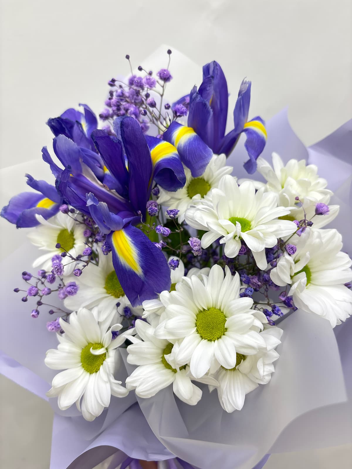 Композиции Бикбая 30423024