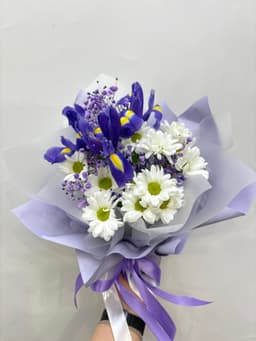 Композиции Бикбая 30423024