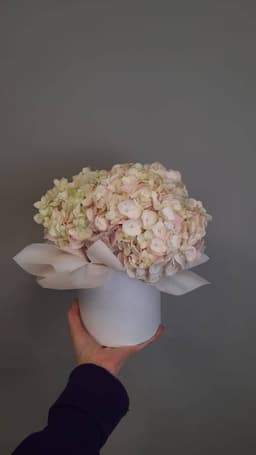 Композиции революционная 60614042