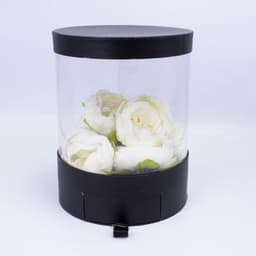Коробка аквариум Черная 21*21*26.5см