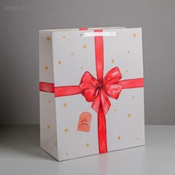 Пакет ламинированный «For you», XL 49 × 40 × 19 см