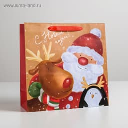 Пакет ламинированный квадратный «Весёлая компания», 30 × 30 × 12 см