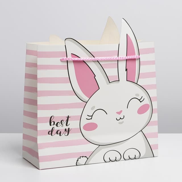 Пакет подарочный «Best day», 25 × 26 × 10 см Пакет подарочный «Best day», 25 × 26 × 10 см