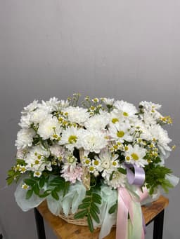 композиция проспект 06626062