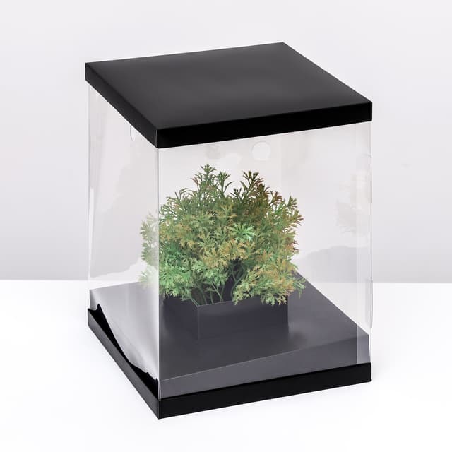 Коробка для цветов с вазой и PVC окнами, складная, 23 х 30 х 23 см, чёрный Коробка для цветов с вазой и PVC окнами, складная, 23 х 30 х 23 см, чёрный