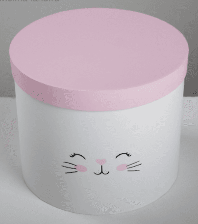 Коробка «Котики», 16 х 16 х 14 см Коробка «Котики», 16 х 16 х 14 см