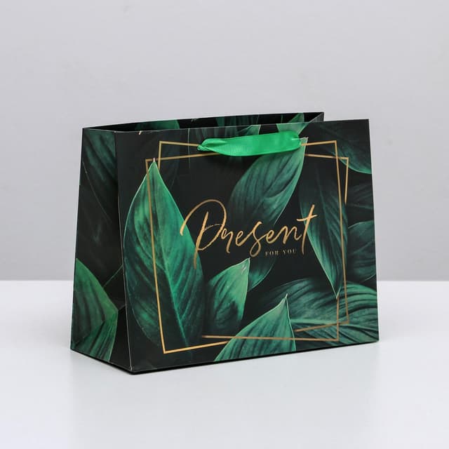 Пакет ламинированный горизонтальный Present for you, S 23 × 18 × 10 см Пакет ламинированный горизонтальный Present for you, S 23 × 18 × 10 см
